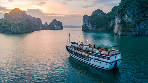 Bai Tu Long Bay Swan cruise day tour