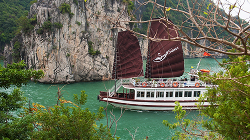 Bai Tu Long Bay Swan cruise day tour