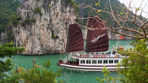 Bai Tu Long Bay Swan cruise 2 days